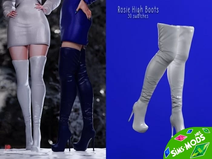 Высокие сапоги Rosie High Boots