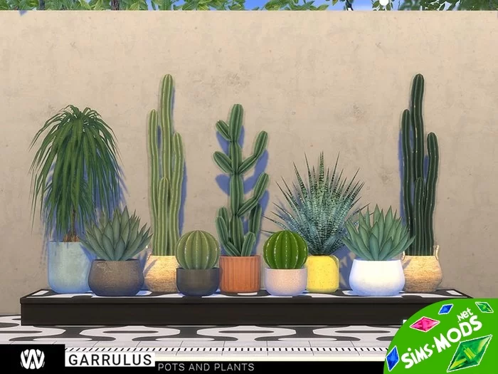 Кактусы Garrulus Outdoor Pots and Plants