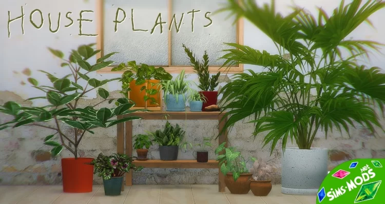 Растения House Plant Collection